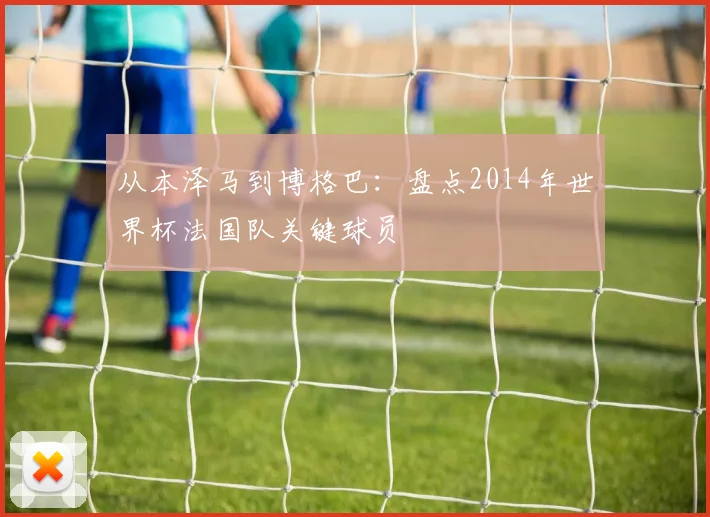 从本泽马到博格巴：盘点2014年世界杯法国队关键球员
